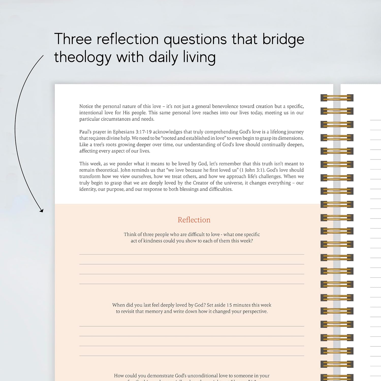 The Bible In A Year: A 52-Week Journey Through God's Word