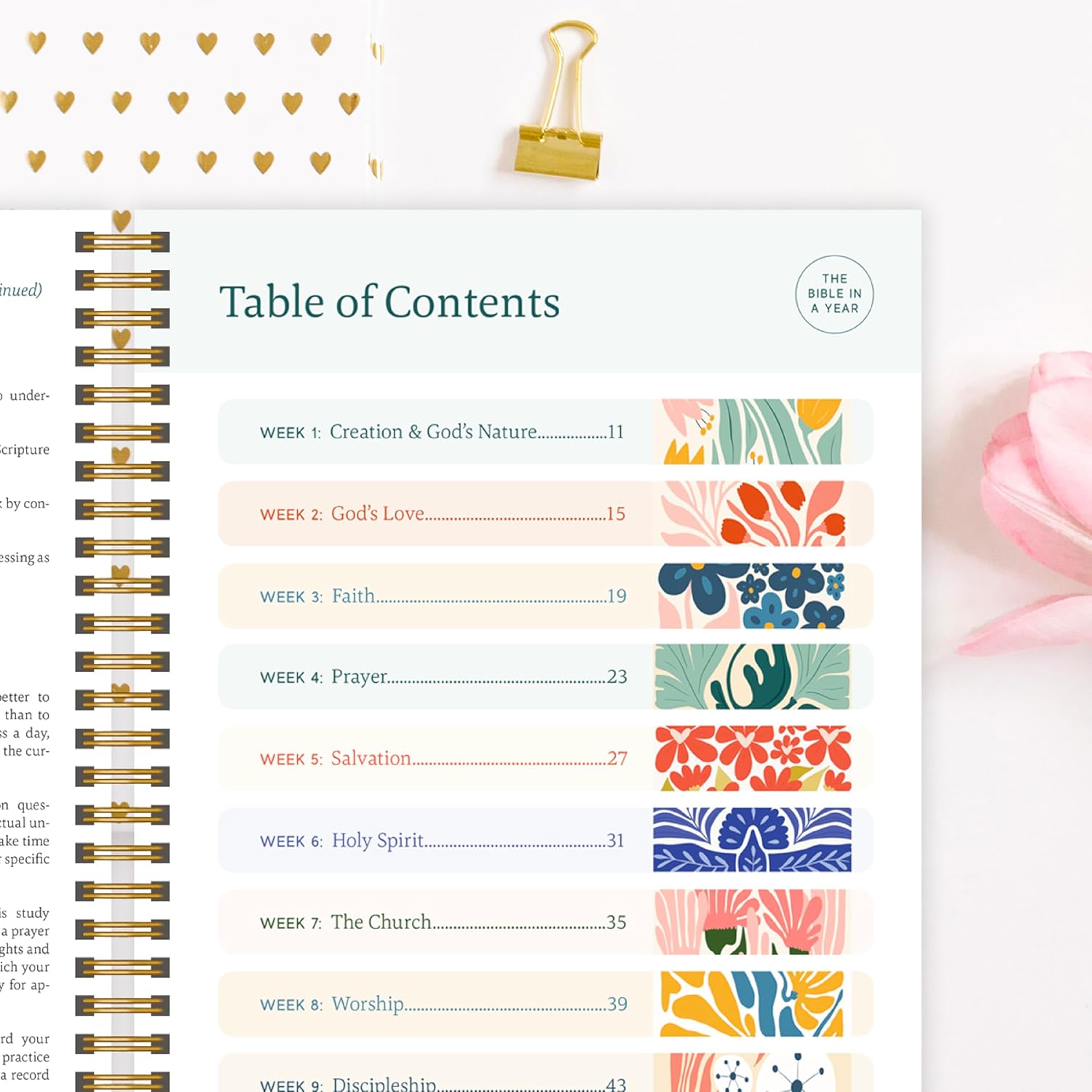 The Bible In A Year: A 52-Week Journey Through God's Word