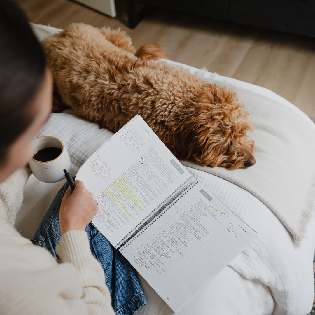 The Bible In A Year: A 52-Week Journey Through God's Word